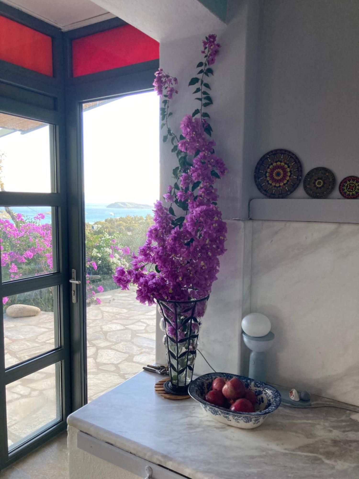 Tierra Villa Skiathos-stad Buitenkant foto