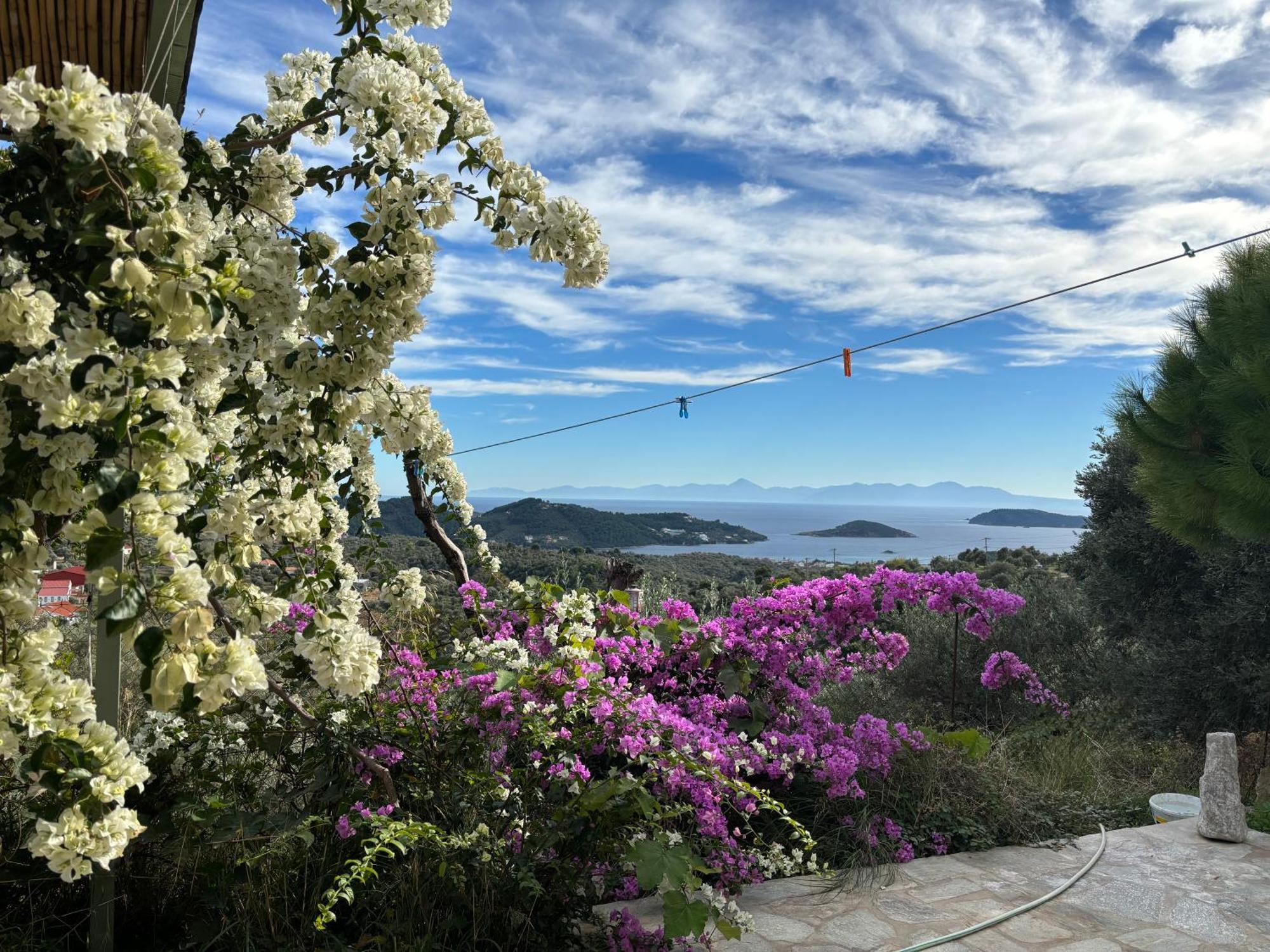 Tierra Villa Skiathos-stad Buitenkant foto