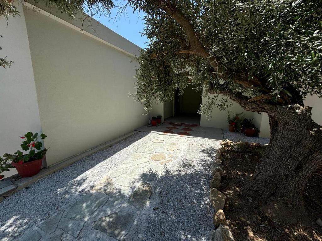 Tierra Villa Skiathos-stad Buitenkant foto