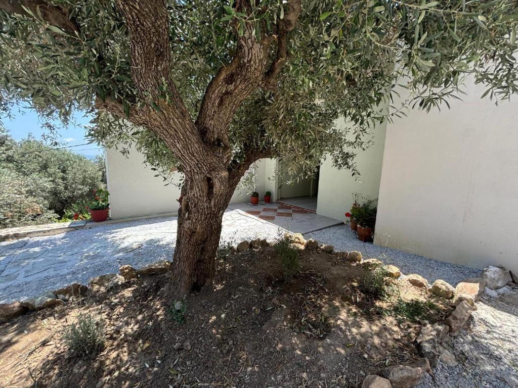 Tierra Villa Skiathos-stad Buitenkant foto