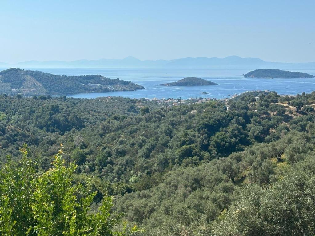 Tierra Villa Skiathos-stad Buitenkant foto