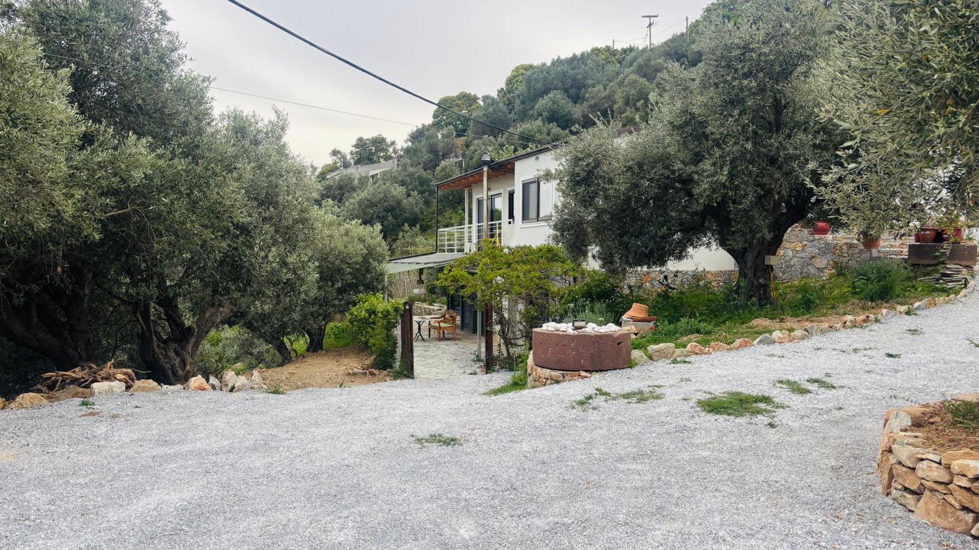 Tierra Villa Skiathos-stad Buitenkant foto